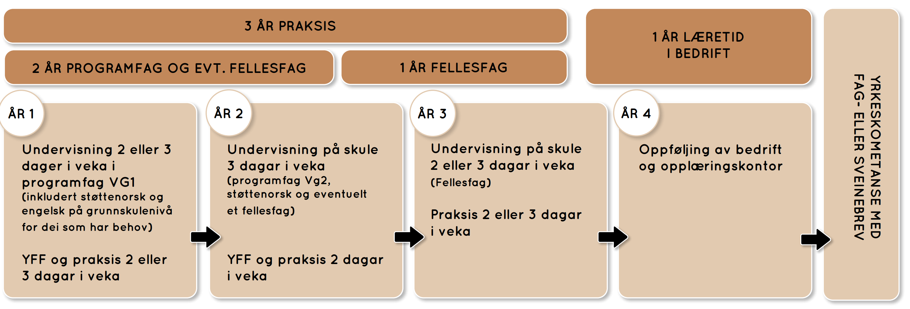 Oversikt over tidsløpet med undervisning og praksis over 4 år