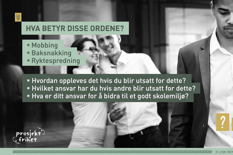 Skjermdump fra presentasjon